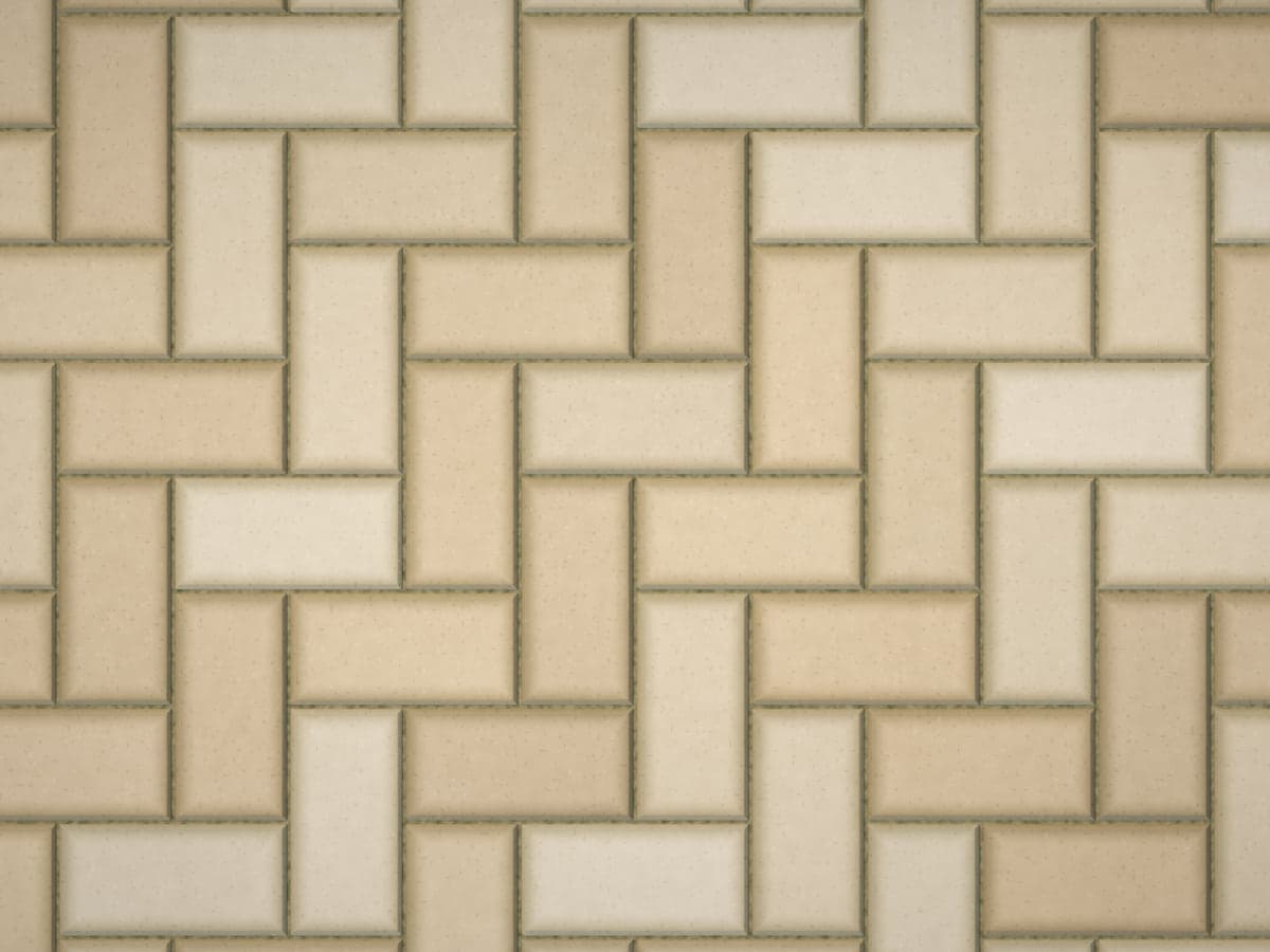 Pavers with dark organic growth concentrated along the joints and edges.