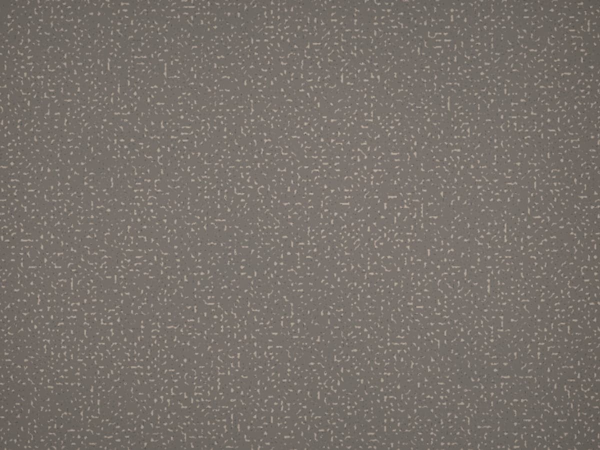 Dark speckled granite countertop surface.